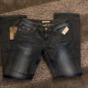 Stetson Bootcut  Jeans 14 long